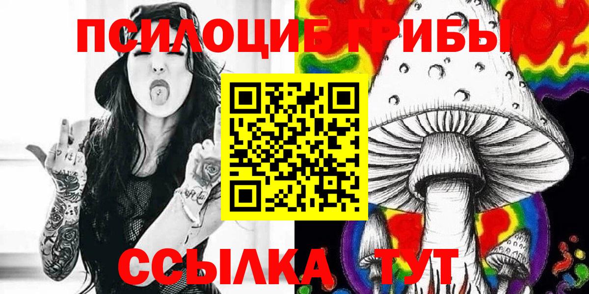 Галлюциногенные грибы Psilocybine cubensis Саров